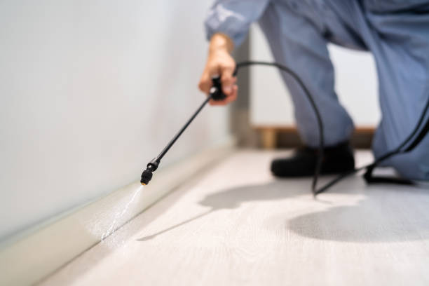 Licensed Mosquito Control service in Vicksburg, MS - Show Me Pest Control