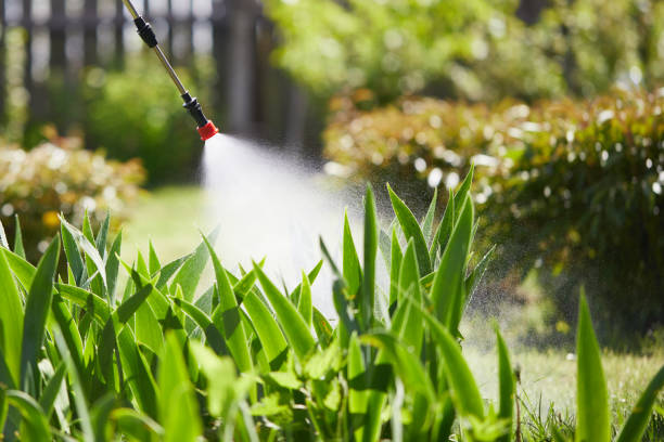 24/7 Emergency Mosquito Control experts in Vicksburg, MS