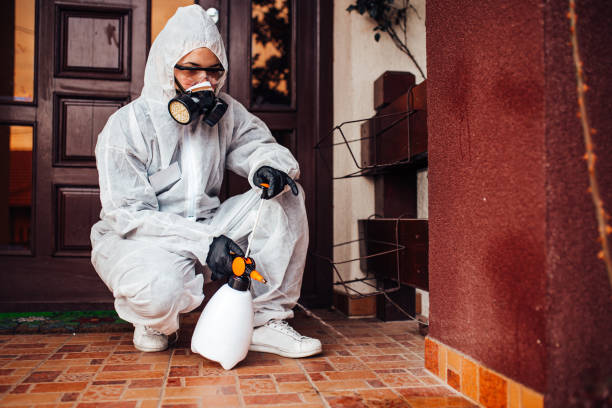 Reliable Mosquito Control contractor in Vicksburg, MS by Show Me Pest Control